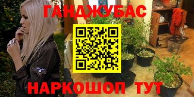 прущие грибы Гусиноозёрск