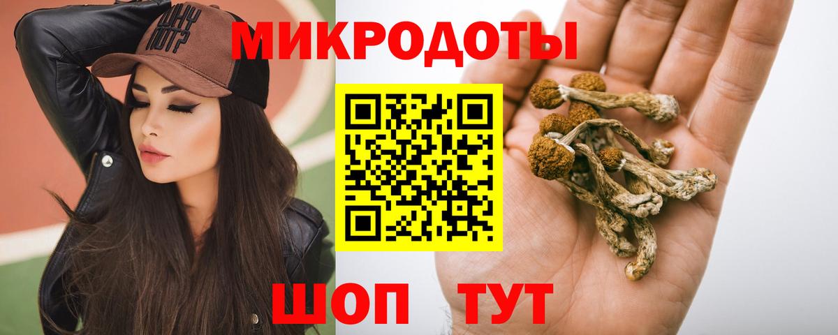 Галлюциногенные грибы Psilocybine cubensis  Вход с VPN  Минусинск  Псилоцибиновые грибы GOLDEN TEACHER 